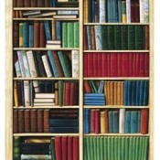 Bücherregale (78)